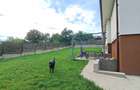 Casa pt inchiriere in Dezmir - 4