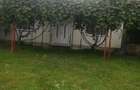 Vand Casa 3 dormitoare 1 baie - 2