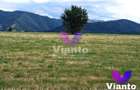 Oportunitate-Teren Extravilan 6200 mp cu vedere Panoramica-Tropinii No - 6