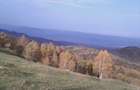 Teren superb Tarsa Luncani Hunedoara - 2