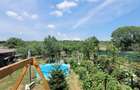 Teren 3100 mp cabana potential investitional Sura Mica Sibiu - 8