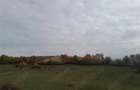 De vanzare,Tomnatic Bihor - 5