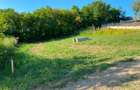 Teren Intravilan 680 mp, Valea Lupului - 3