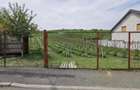 Teren intravilan pentru casa in Mandra, Loamnes - 1400m2 - 4
