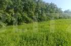 Teren intravilan de vanzare, 3700 mp, zona Braesti - 3