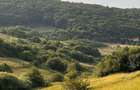 Teren 500mp, Valea Sanaslaului - 1