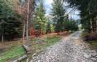 Teren intravilan 5.600mp, Colibi?a