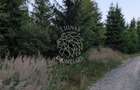 Teren 19,500 mp (1,95 Ha)-curent-ideal cabane-Colibita