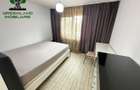 Apartament 2 camere, renovat si mobilat, etaj 2, Palas - Centru - 8