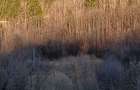 A-frame la Munte vanzare 120 000e - 4
