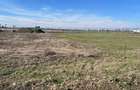 RECO teren industrial cu PUZ in Santandrei