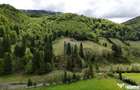 Extravilan + Intravilan | Satic-Rucar | Cadru natural | Turistic - Satic (Arges)