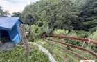 Cabana + Teren De Vanzare La 14Km De Alba - 10