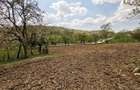 Casă cu 4 camere cu Teren 4212 Mp în Lupșa de Sus - 2