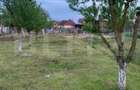Teren intravilan 1500mp , zona Cionchesti - Cionchesti (Satu-Mare)