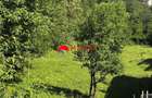 TEREN INTRAVILAN DE VANZARE IN POIANA CAMPINA | 3.526 M - 13