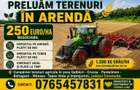 Lucram teren agricol in arenda in sase localitati din Constanta. - 1