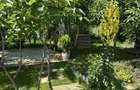 Birou cu piscina, curte si zona de relaxare - 1