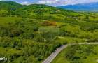 Teren 1ha Valea Glajeriei - Rasnov | Comision 0% - 2