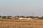 Teren 5000 mp Rovine 2(Troaca) - 3