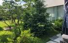 Beautiful villa - Baneasa area - 6rooms - 5
