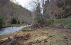 Teren 2000 mp Saticu de Sus Deschidere Raul Dambovi?a & Drum Forestier (Valea lui Ivan)