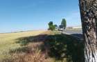 Teren Buftea | Strada Milano | intravilan - 5