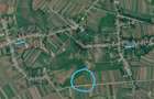 Vand Teren 46.400 mp ?i 30.000 mp Matasaru - 5