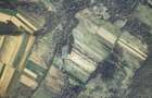 TEREN AGRICOL 1,524 HA, LA DOAR 10.000 Comision Zero % - 4