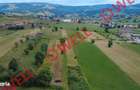 De vanzare teren extravilan in Barcani! - 9