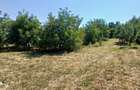 Casa in Comsesti cu teren intravilan 1800mp, acces bun