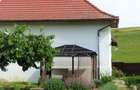 Vand casa cu gradina - 8