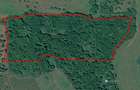 Teren livada 10242 mp ,Sl[tinița , in apropiere de Bistrita