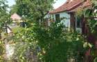 Vand casa Valea Muresului, sat Lalasint - 1