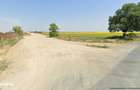 48 ha teren la iesire din Horia, zona de balastiere - 6