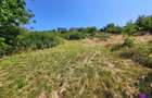 Teren Intravilan 546 mp | Panorama deosebita | PUZ in lucru - 9