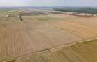 DASCALU - TEREN INTRAVILAN 7500 MP, INVESTITIE! - 5