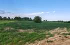 Teren de vanzare 9.200 mp Deschidere 29 ml Clinceni, Str. Vulturului - 2