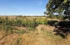 RECO Casa de vanzare in Gepiu, teren 1.439 mp - 9