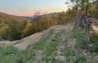 Paltinu - teren intravilan 1780mp - 29000 Euro/Neg. - 2