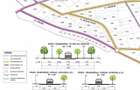Teren de vanzare, 1300 mp, zona suburbana CISNADIE - 5