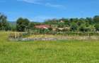 Teren extravilan arabil Tisau, ID: R2590475 - 5