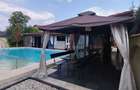 Vila piscina evenimente private - 5