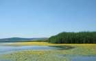 Vand teren 5 ha, teren cu lac de pescuit ?i agrement 4 ha - 7