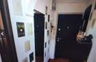 apartament 2 camere teiul doamnei