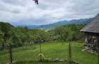 Domeniu Premium 1.7 Ha Intravilan Zarnesti | Liziera Padure - 17
