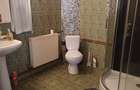 Proprietate deosebita cu casa spa?ioasa ?i teren generos in Ulmi, Dambovi?a la 2Km de Targovi?te - 3