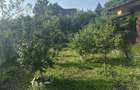 Campina - casa - 150000 Euro/Neg. - 1
