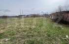 Teren Intravilan de vanzare, 4400 mp, zona Viisoara - 3