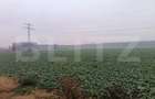 Teren industrial, 15000 mp, Zona Lido Garbea, Ytong. - 3